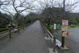 安房 館山城の写真