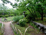 安房 館山城の写真