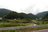 安芸 安南坊城×の写真