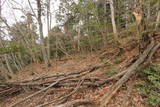 安芸 青山城の写真