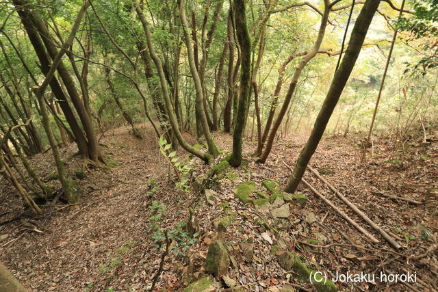 安芸 勝山城(粟屋町)の写真