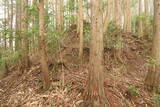 安芸 勝山城(粟屋町)の写真