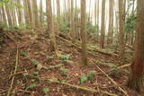 安芸 勝山城(粟屋町)の写真