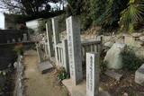 安芸 鎮海山城の写真