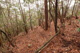 安芸 長者山城(古代)の写真