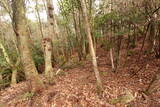 安芸 長者山城(古代)の写真