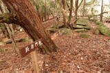 安芸 長者山城(古代)の写真