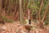 安芸 長者山城(古代)の写真