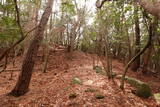 安芸 長者山城(古代)の写真