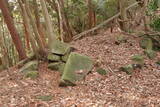 安芸 長者山城(古代)の写真