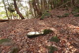 安芸 長者山城(古代)の写真