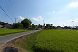 安芸 土肥広親館の写真