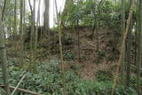 安芸 枝の城の写真