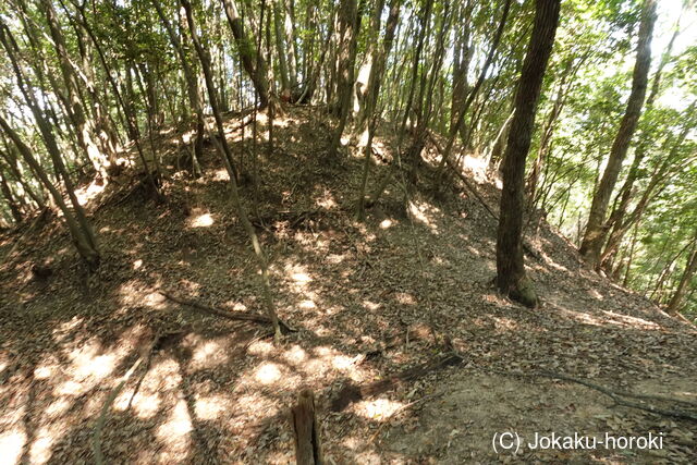 安芸 (仮)榎ノ山城(下城)の写真