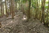 安芸 (仮)榎ノ山城(下城)の写真