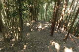 安芸 (仮)榎ノ山城(下城)の写真