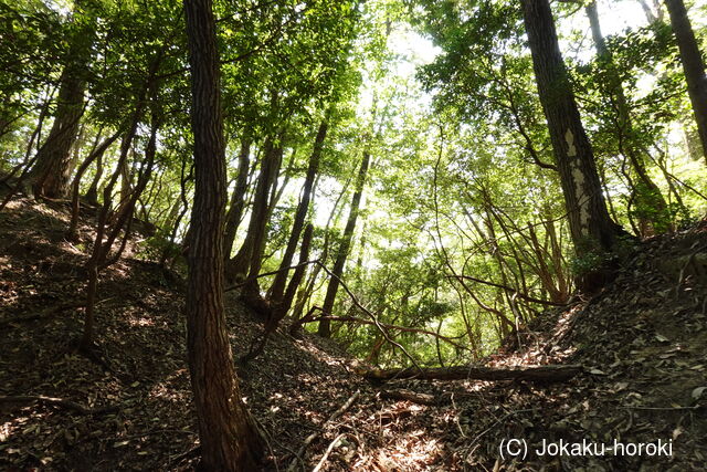 安芸 (仮)榎ノ山城(上城)の写真