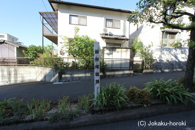 安芸 藤掛尾城の写真