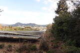 安芸 八条原城の写真