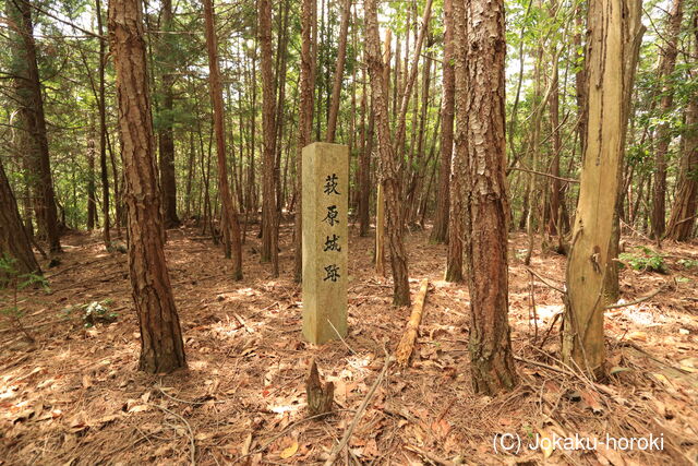 安芸 萩原城の写真