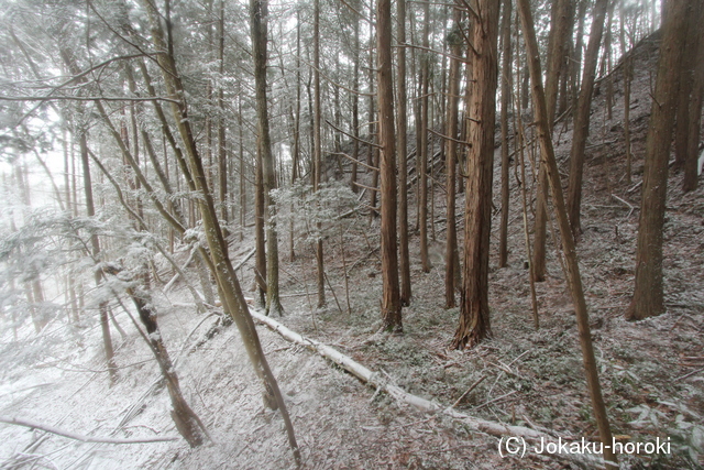 安芸 高橋城(高宮町)の写真