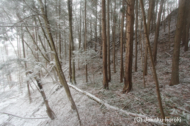 安芸 高橋城(高宮町)の写真