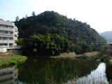 安芸 檜木城の写真