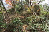 安芸 日山城の写真