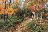 安芸 日山城の写真