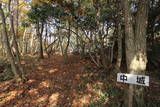 安芸 日山城の写真