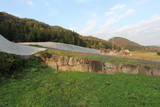 安芸 火野山地土居屋敷の写真