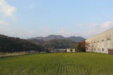 安芸 火野山地土居屋敷の写真