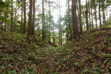 安芸 平山城(安芸太田町)の写真