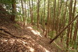 安芸 平山城(安芸太田町)の写真