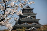 安芸 広島城の写真