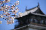 安芸 広島城の写真