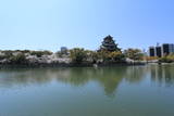 安芸 広島城の写真