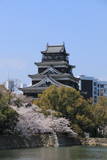 安芸 広島城の写真