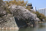 安芸 広島城の写真