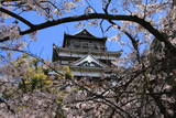 安芸 広島城の写真