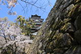 安芸 広島城の写真