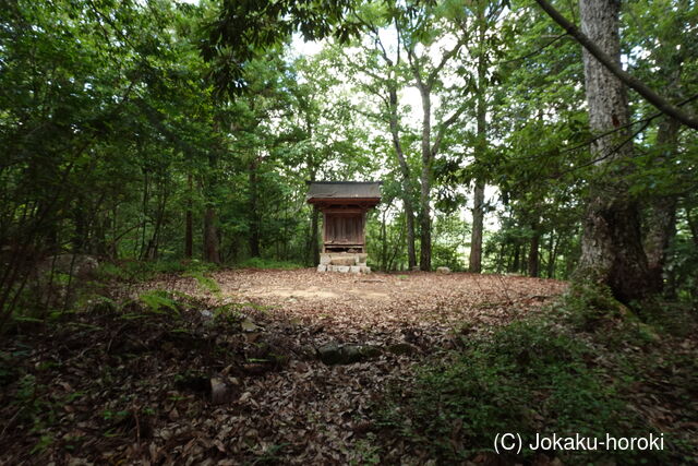 安芸 市山城の写真