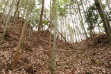 安芸 碇崎城の写真