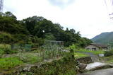 安芸 土居城(飯室)の写真