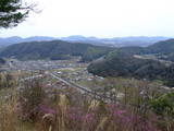 安芸 稲村山城の写真