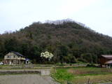 安芸 稲村山城の写真