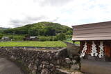 安芸 隠居城の写真