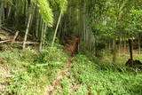 安芸 隠居城の写真