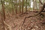 安芸 祝屋城の写真
