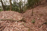 安芸 祝屋城の写真